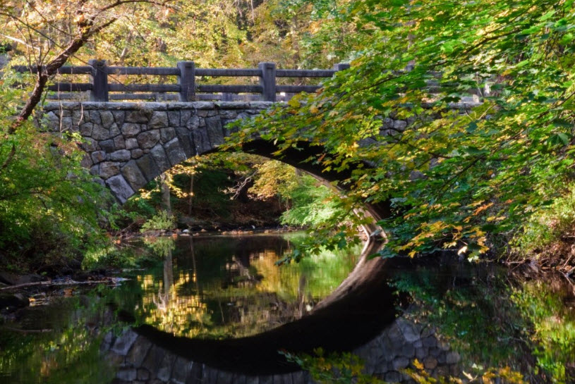 Mianus River Park, Connecticut, USA